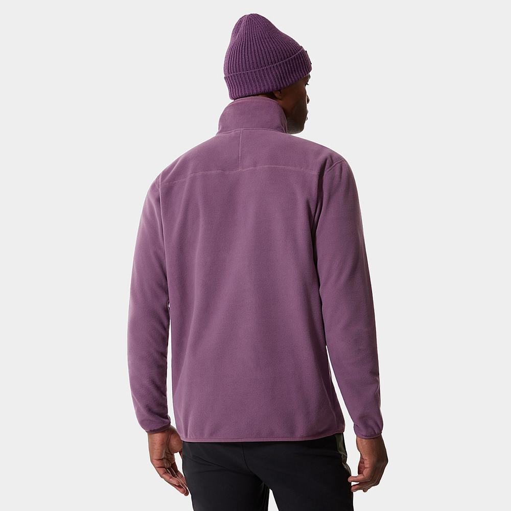 Mikiny The North Face 100 Glacier Quarter-Zip Fleece Panske Nachový | UOV-384725
