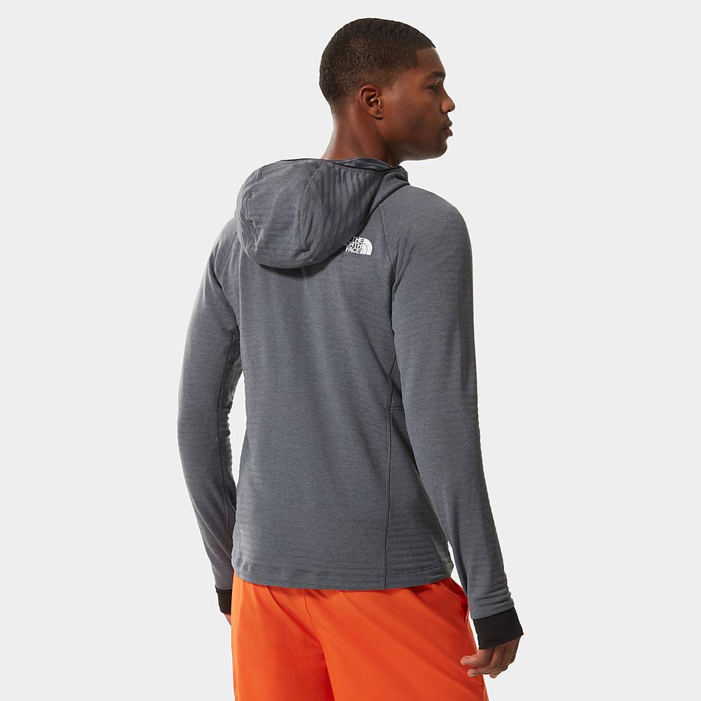 Mikiny The North Face CIRCADIAN FLEECE Panske Siva | QYN-512093