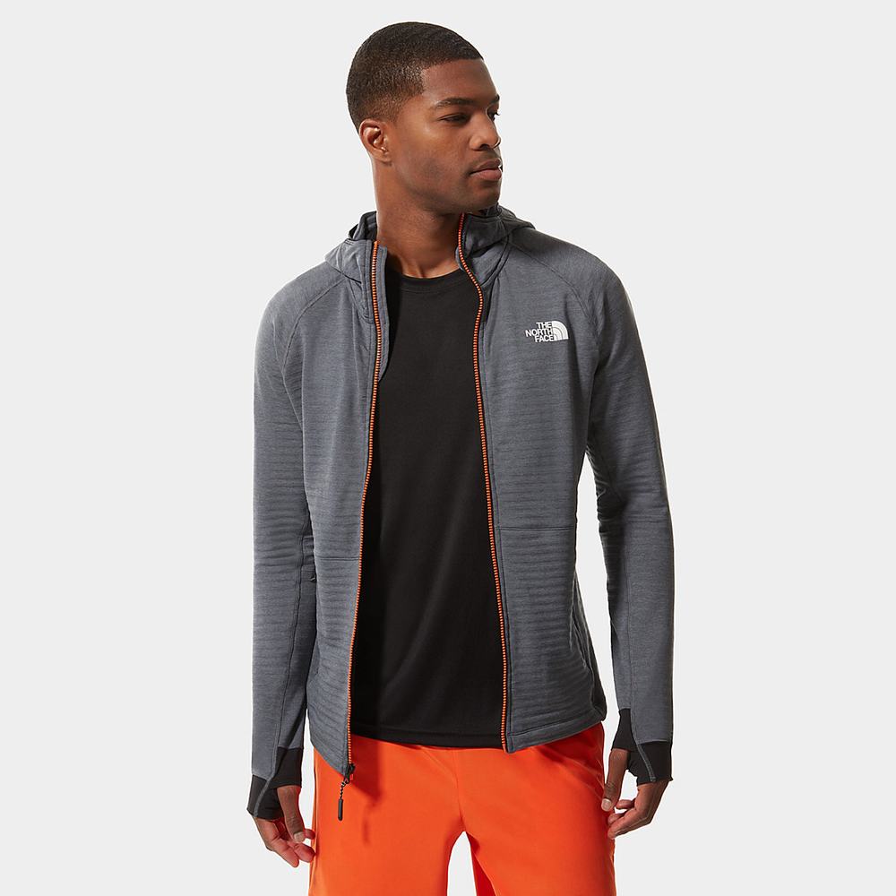 Mikiny The North Face CIRCADIAN FLEECE Panske Siva | QYN-512093