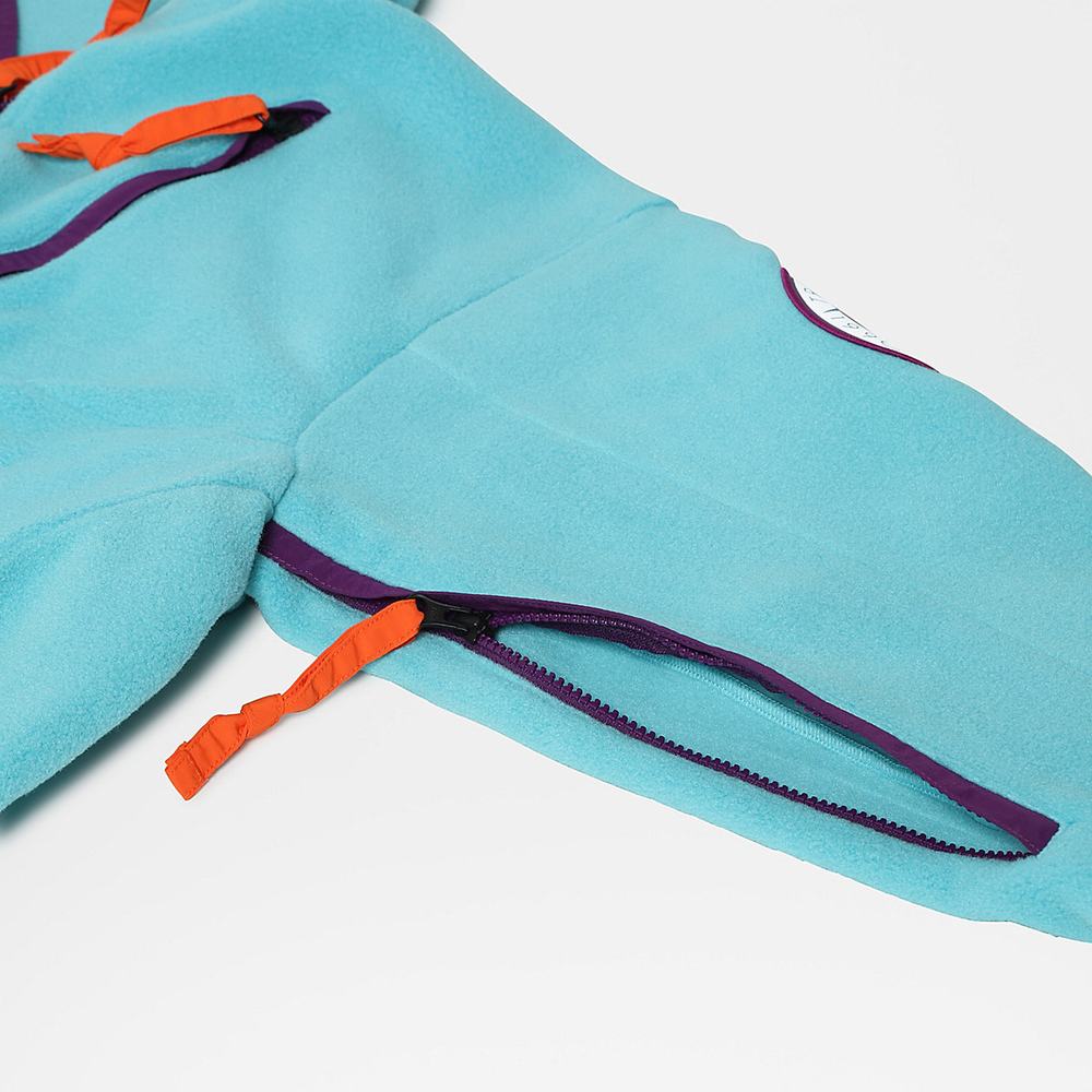 Mikiny The North Face CTAE FLEECE Panske Modre | JPR-841975
