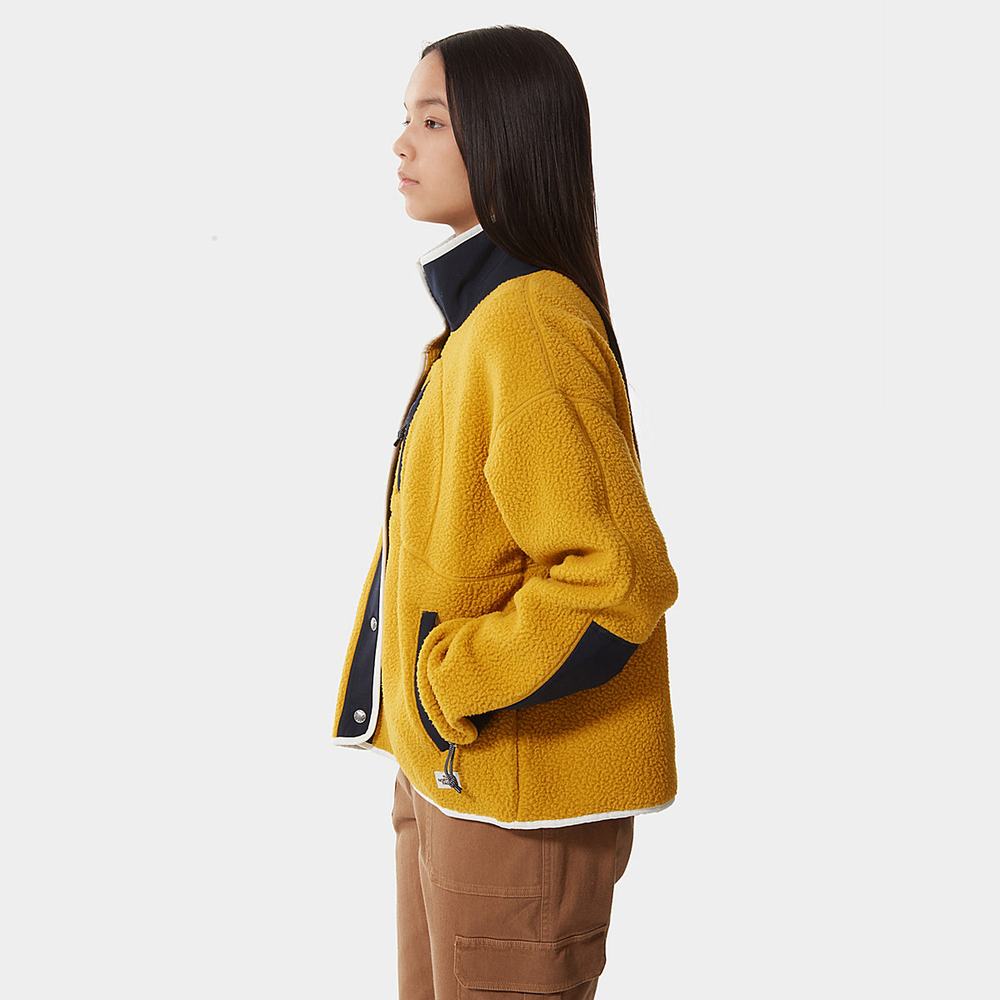 Mikiny The North Face Cragmont Fleece Damske Žlté Námornícka Modrá | BPG-341985