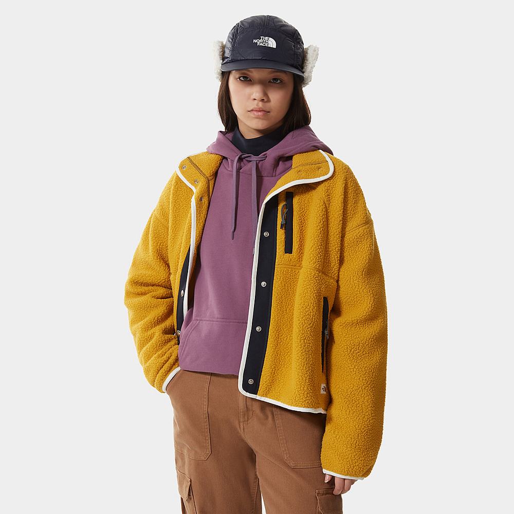 Mikiny The North Face Cragmont Fleece Damske Žlté Námornícka Modrá | BPG-341985