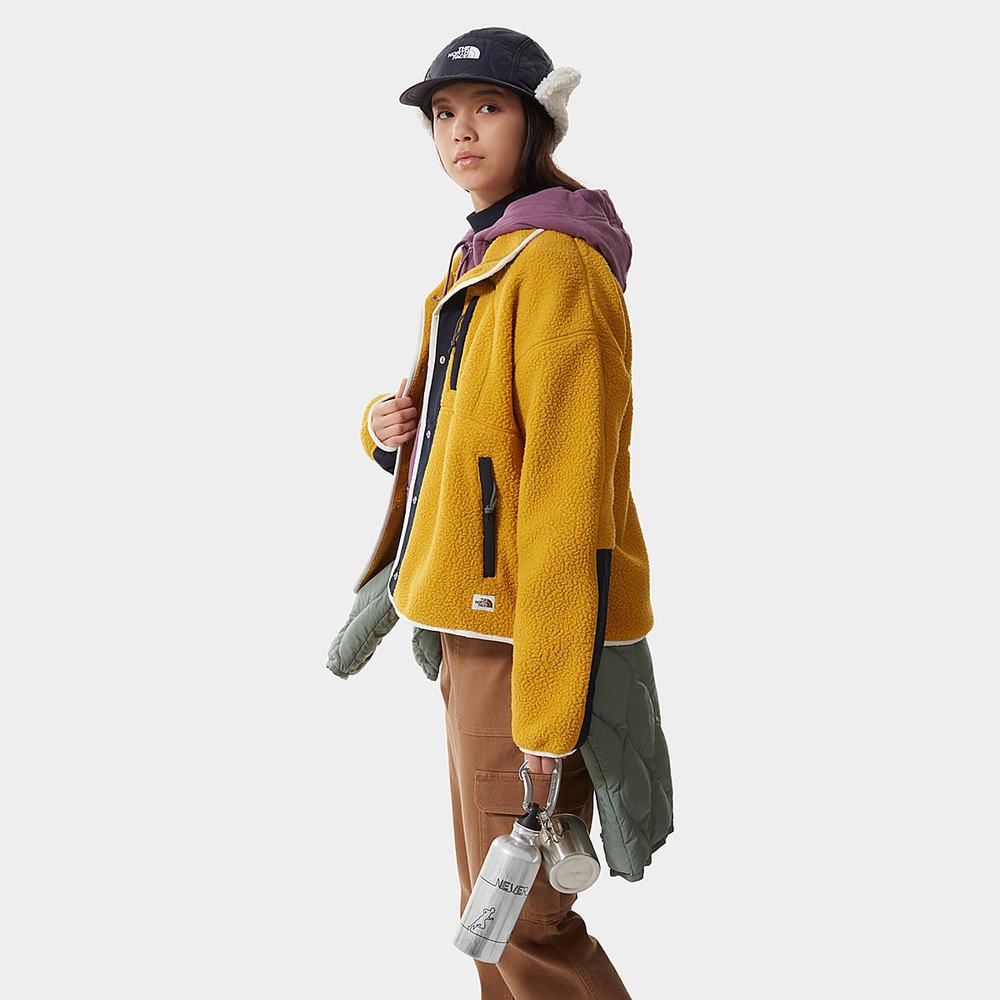 Mikiny The North Face Cragmont Fleece Damske Žlté Námornícka Modrá | BPG-341985
