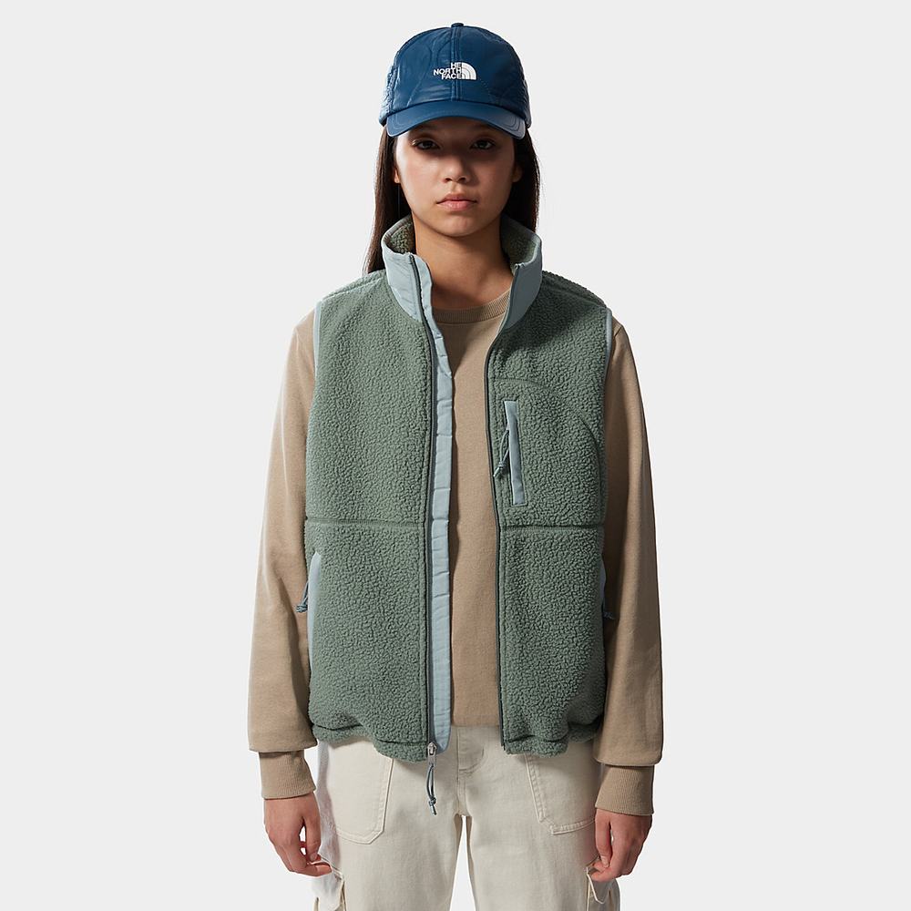 Mikiny The North Face Cragmont Fleece Damske Zelene Strieborne Modre | EPH-540697
