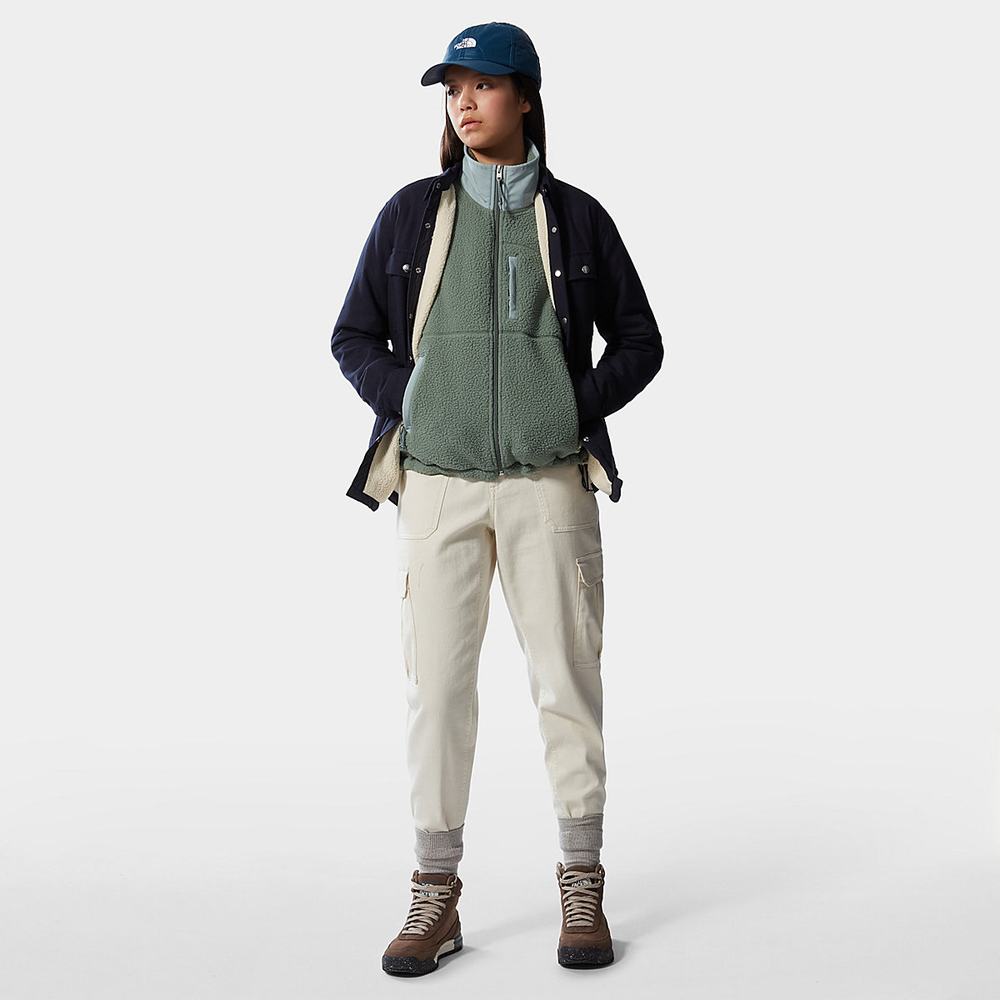 Mikiny The North Face Cragmont Fleece Damske Zelene Strieborne Modre | EPH-540697