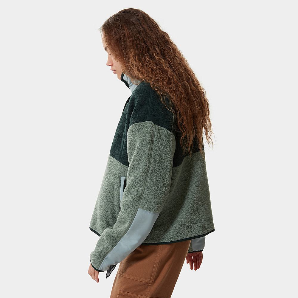 Mikiny The North Face Cragmont Fleece Damske Zelene | PNV-756421