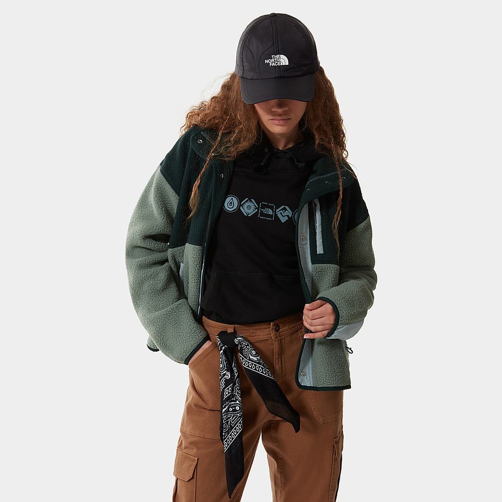 Mikiny The North Face Cragmont Fleece Damske Zelene | PNV-756421