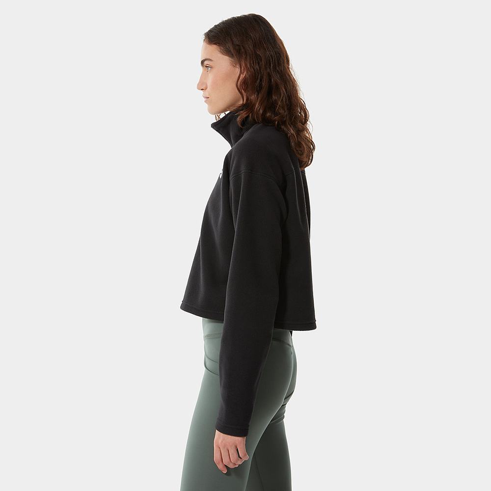 Mikiny The North Face Cropped Glacier Fleece Damske Čierne | AVT-061745