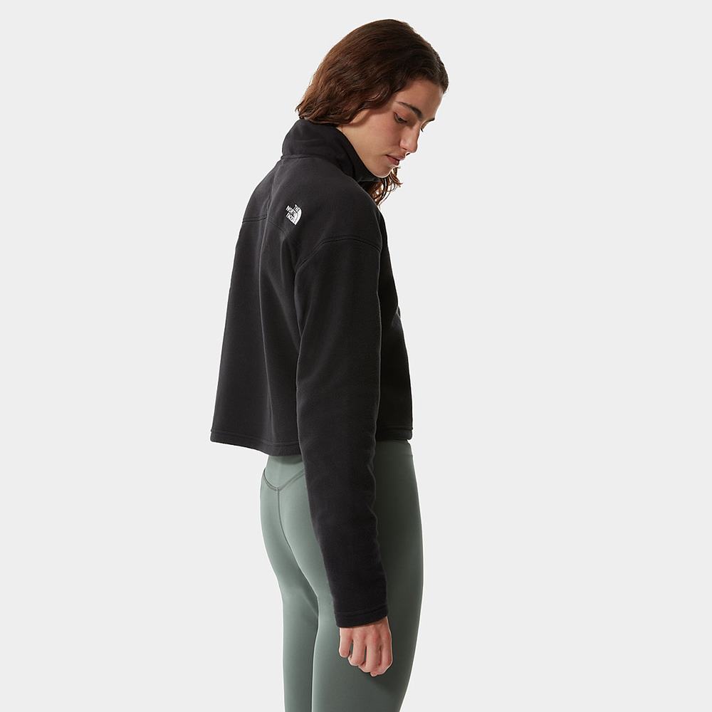 Mikiny The North Face Cropped Glacier Fleece Damske Čierne | AVT-061745