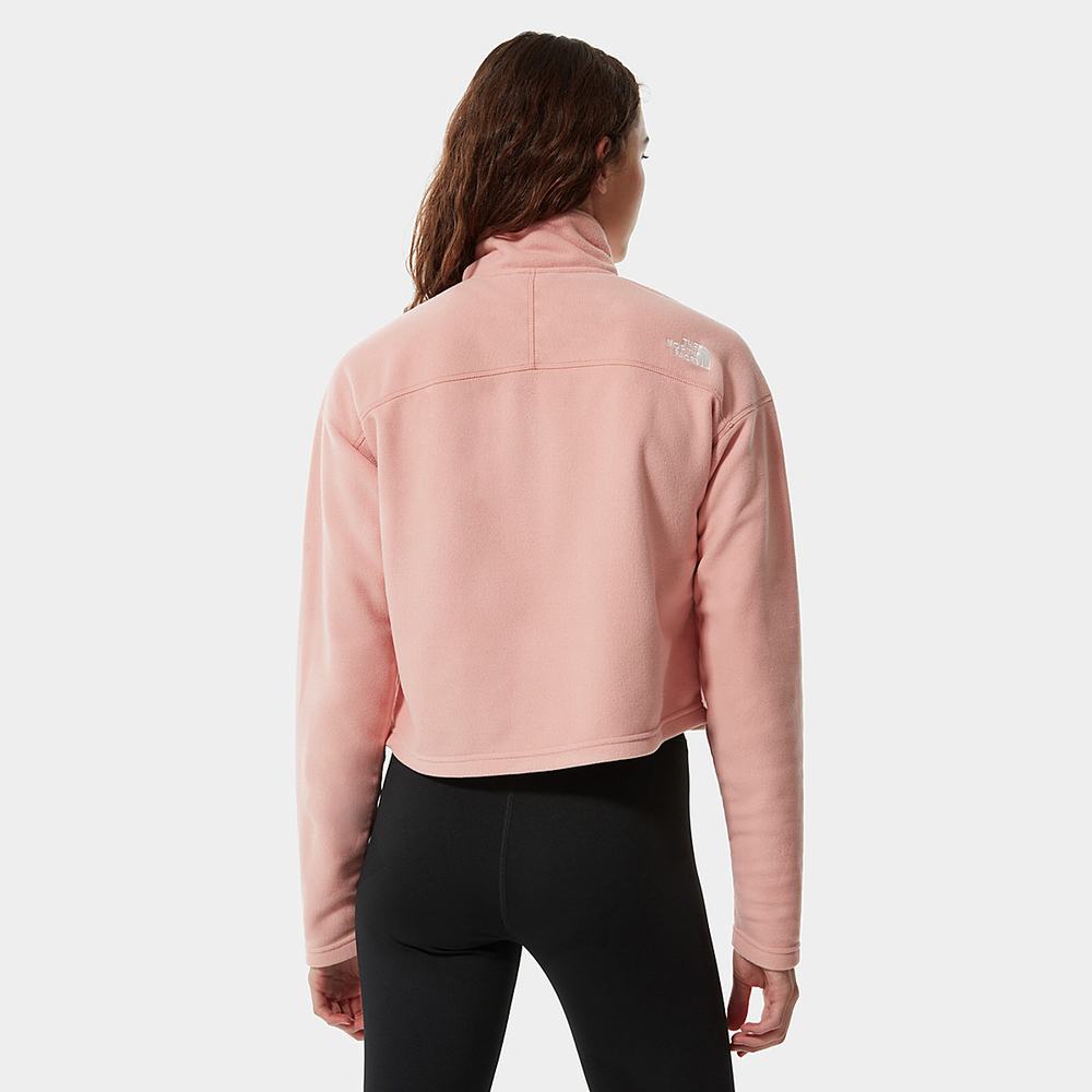 Mikiny The North Face Cropped Glacier Fleece Damske Ruzove Hnede | EMH-329174