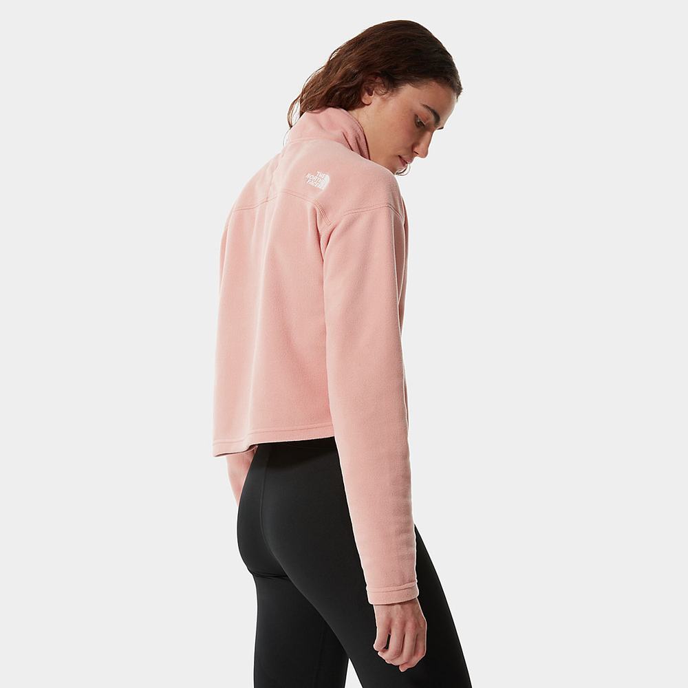 Mikiny The North Face Cropped Glacier Fleece Damske Ruzove Hnede | EMH-329174