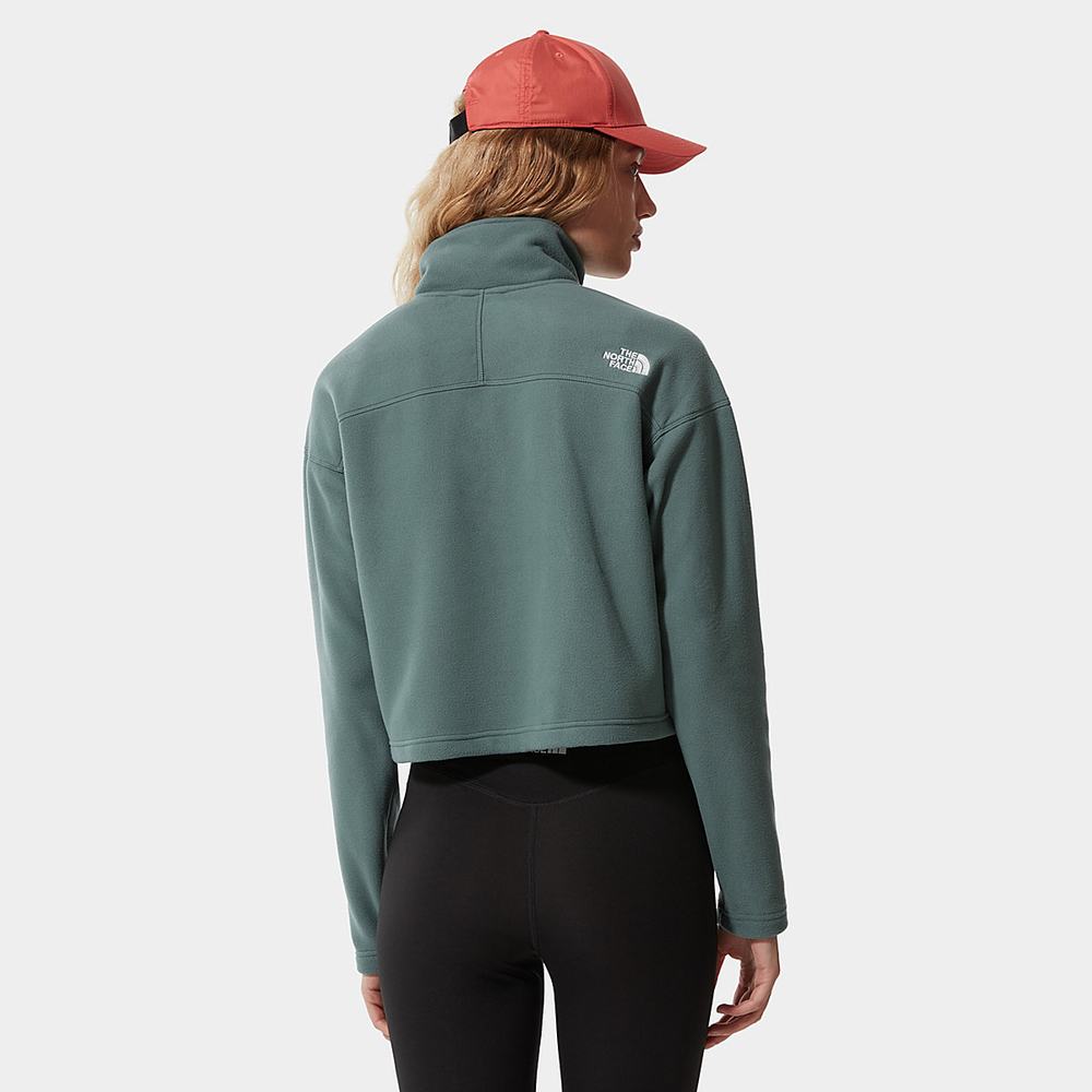 Mikiny The North Face Cropped Glacier Fleece Damske Zelene | IWN-574906