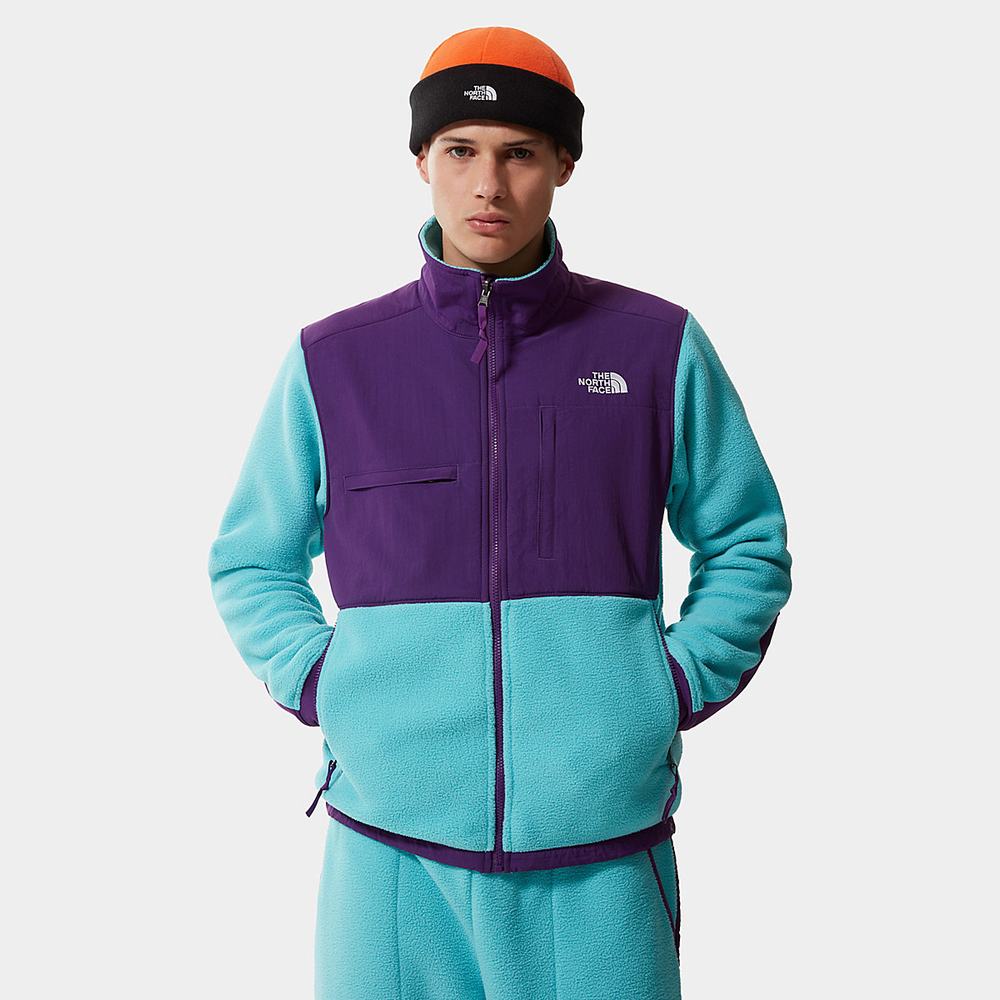 Mikiny The North Face Denali 2 Panske Modre Nachový | EXY-120384