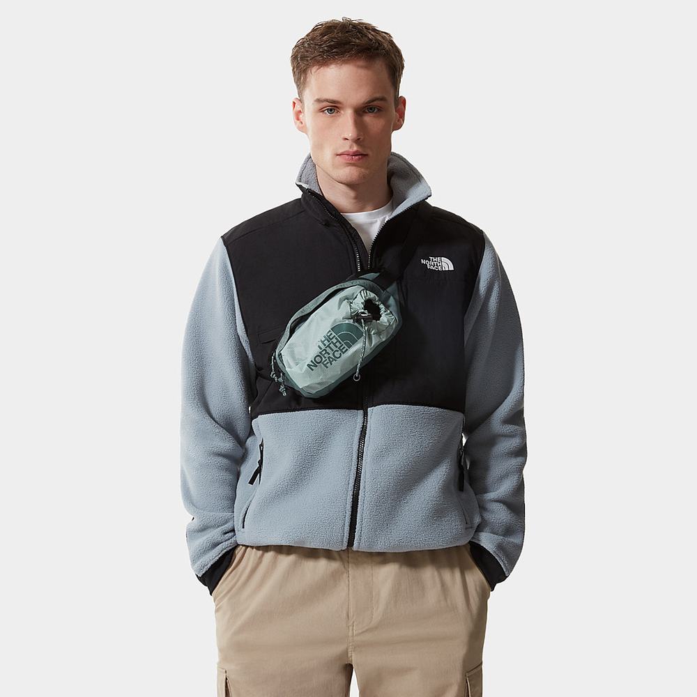 Mikiny The North Face Denali 2 Panske Siva | ZYO-164537
