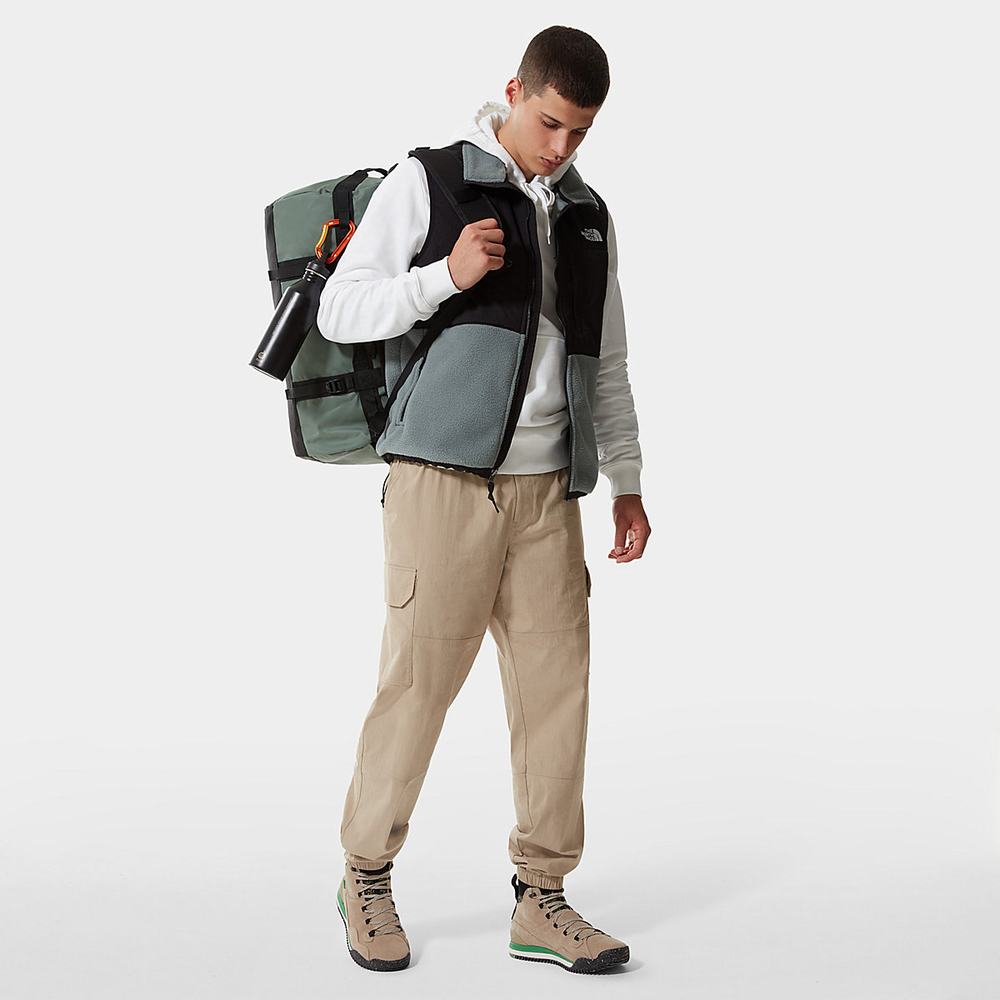 Mikiny The North Face Denali Gilet Panske Zelene | VON-283476