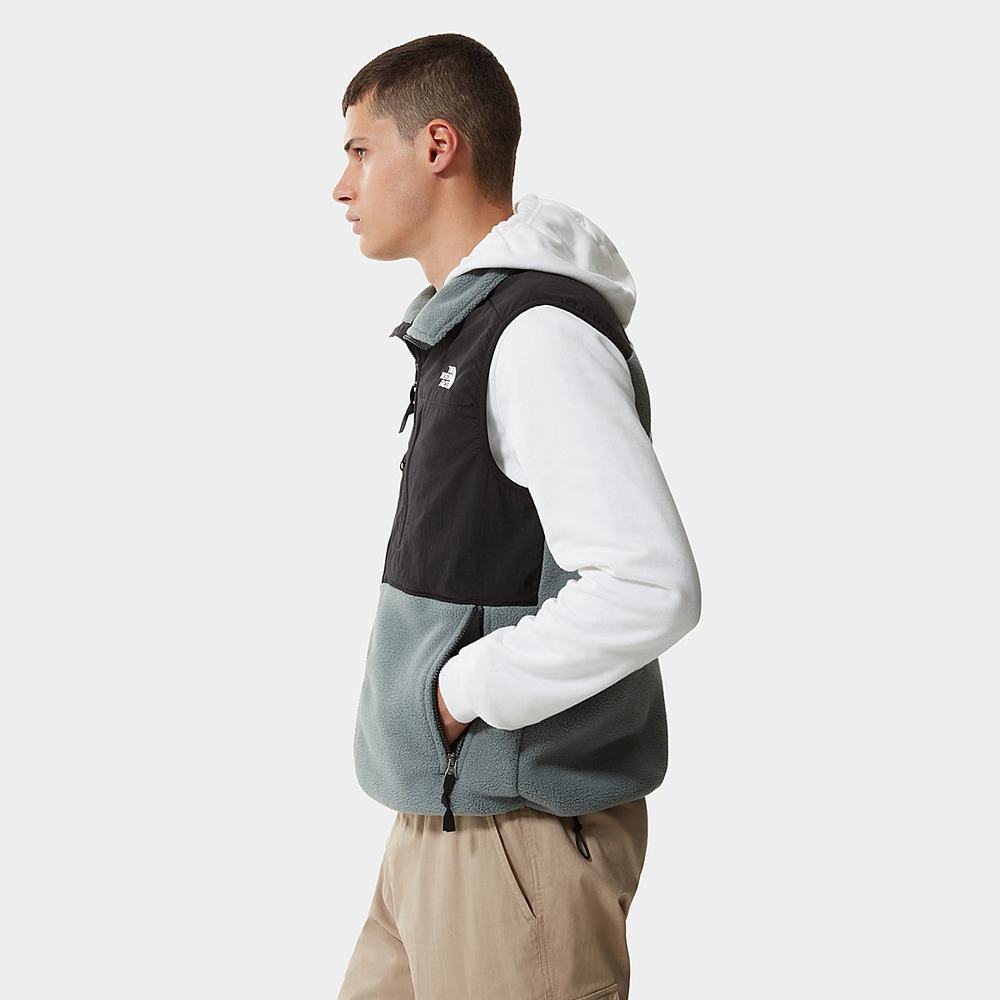 Mikiny The North Face Denali Gilet Panske Zelene | VON-283476