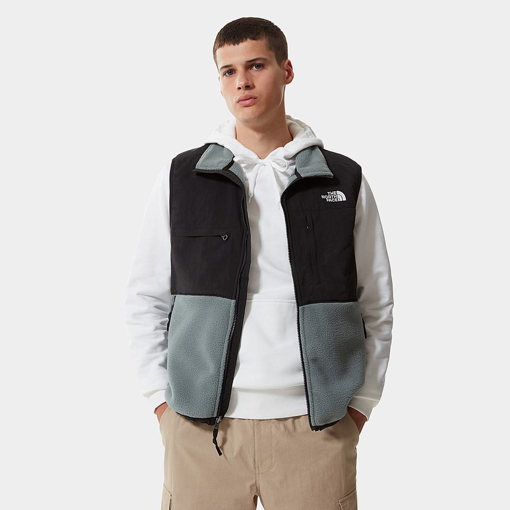 Mikiny The North Face Denali Gilet Panske Zelene | VON-283476