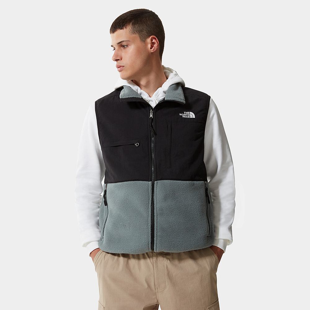 Mikiny The North Face Denali Gilet Panske Zelene | VON-283476