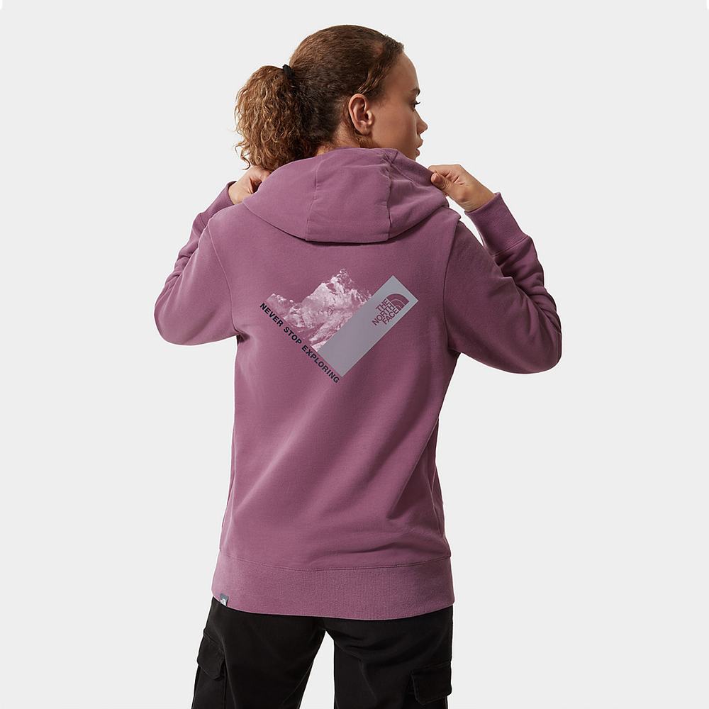 Mikiny The North Face New Climb Fleece Damske Nachový | XJK-432691