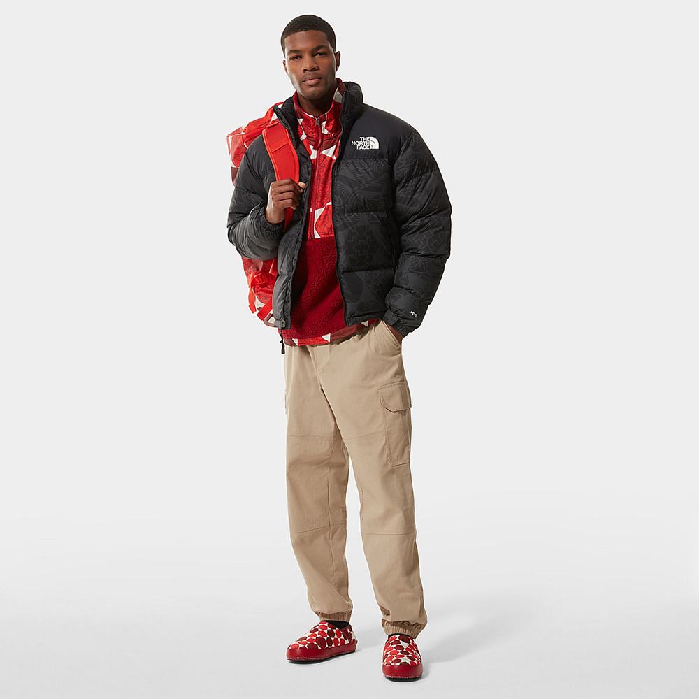 Mikiny The North Face PRINTED PLATTE SHERPA FLEECE Panske Červené | SDQ-947562