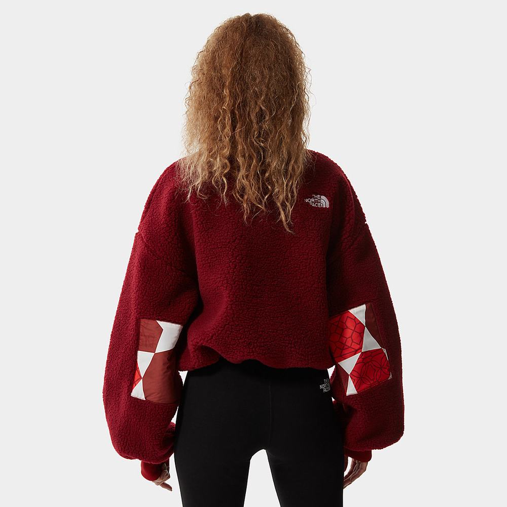 Mikiny The North Face PRINTED PLATTE SHERPA FLEECE Damske Červené | WZC-590842