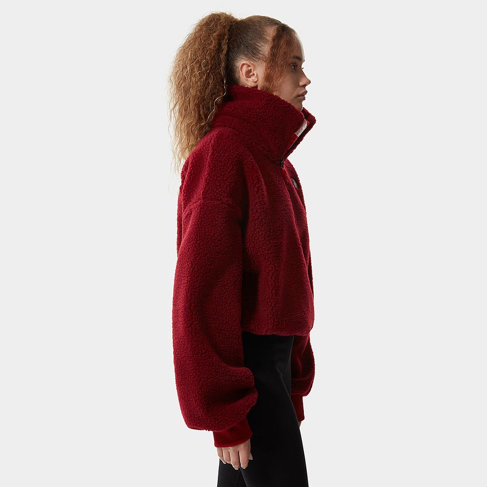 Mikiny The North Face PRINTED PLATTE SHERPA FLEECE Damske Červené | WZC-590842