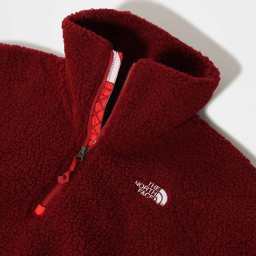 Mikiny The North Face PRINTED PLATTE SHERPA FLEECE Damske Červené | WZC-590842