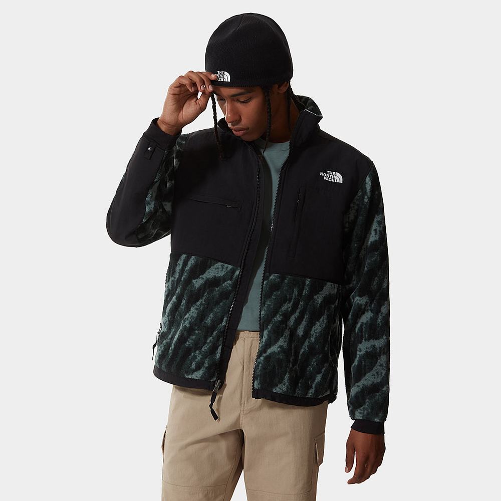 Mikiny The North Face Printed Denali 2 Panske Zelene | WIS-398721
