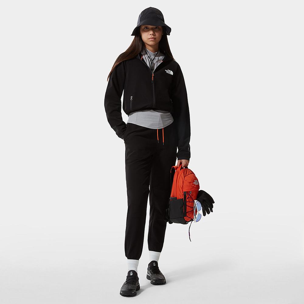 Mikiny The North Face TEKWARE FLEECE Damske Čierne | CDU-290154