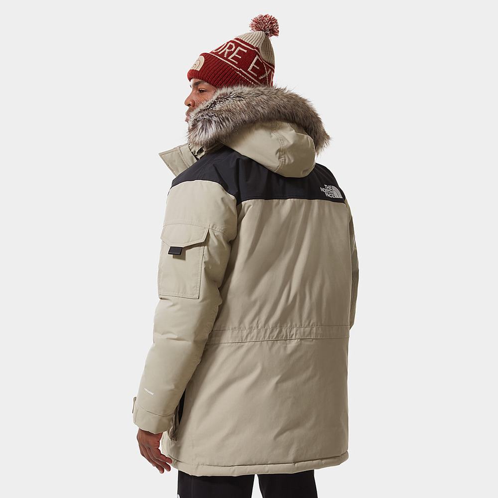 Nepremokavé Bundy The North Face McMurdo 2 Panske Svetlo Hnede | AOP-128695