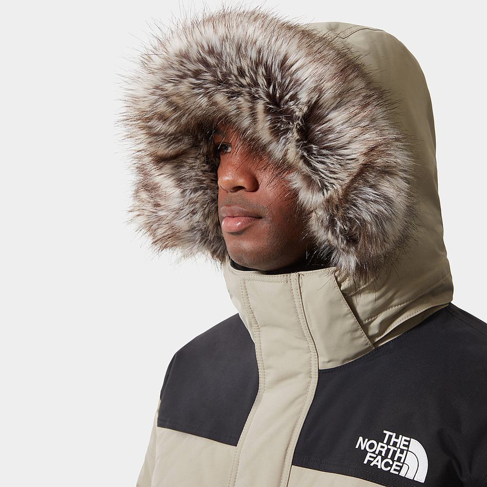 Nepremokavé Bundy The North Face McMurdo 2 Panske Svetlo Hnede | AOP-128695