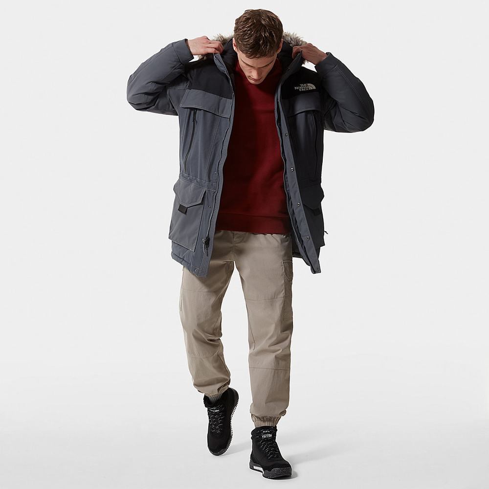 Nepremokavé Bundy The North Face McMurdo 2 Panske Siva | SWE-937814