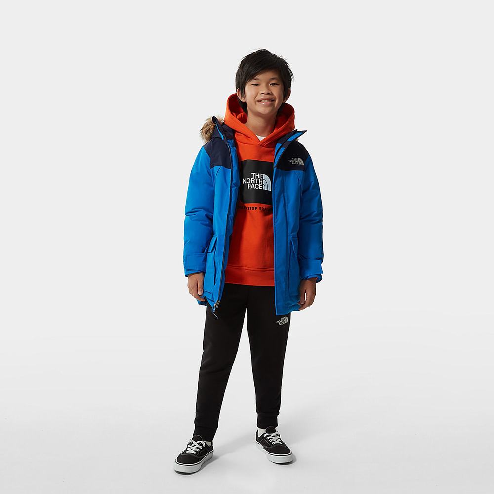 Nepremokavé Bundy The North Face Mcmurdo Chlapcenske Modre | KIZ-921465