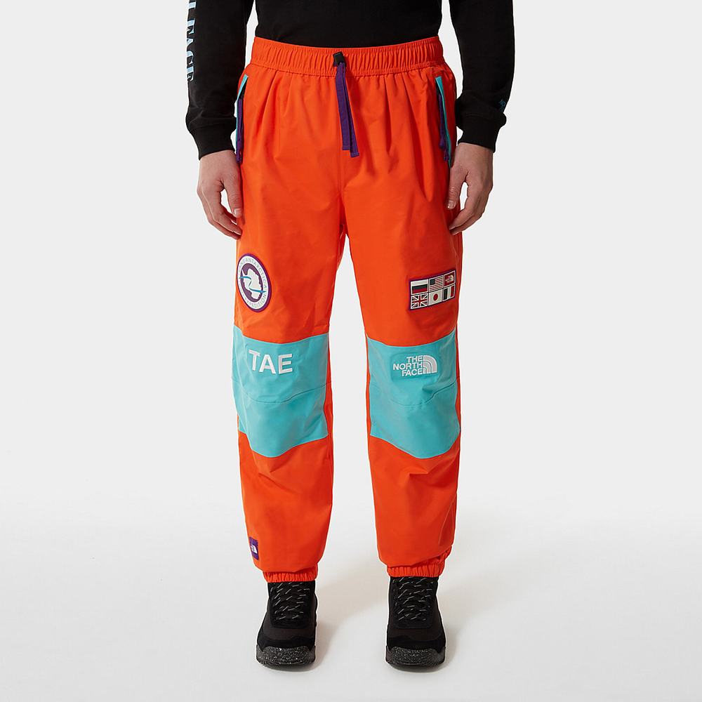 Nohavice The North Face CTAE Panske Červené Oranžové | JEZ-692531