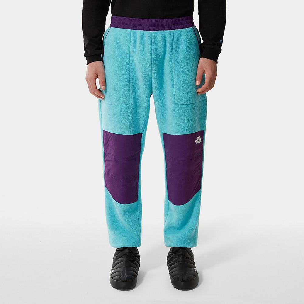 Nohavice The North Face Denali Panske Modre Nachový | VUY-764032