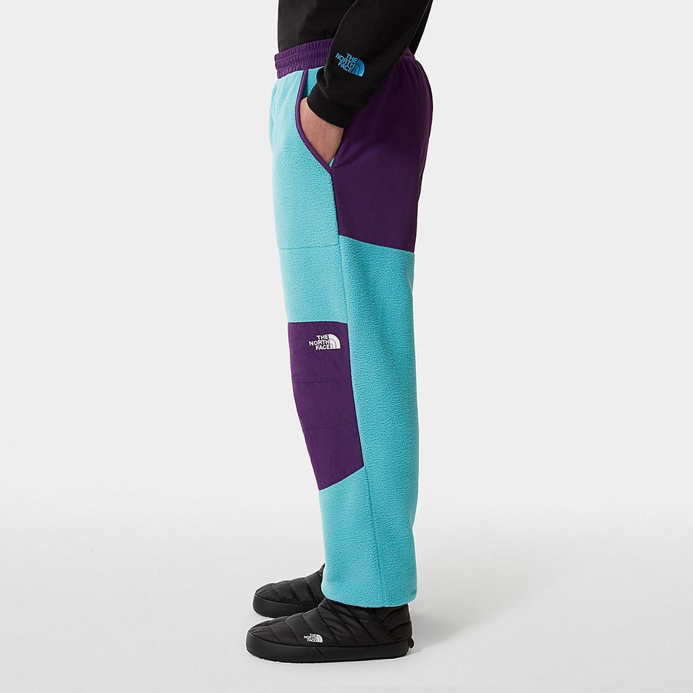 Nohavice The North Face Denali Panske Modre Nachový | VUY-764032