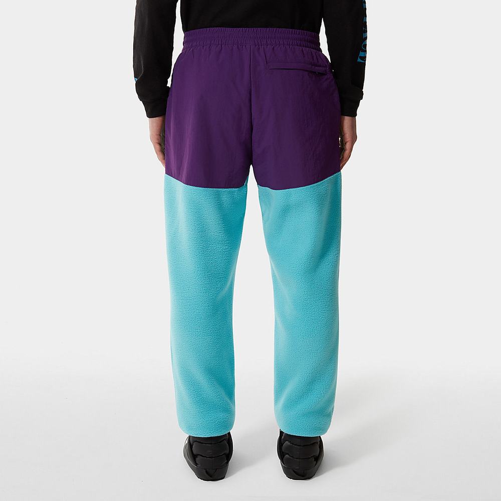 Nohavice The North Face Denali Panske Modre Nachový | VUY-764032