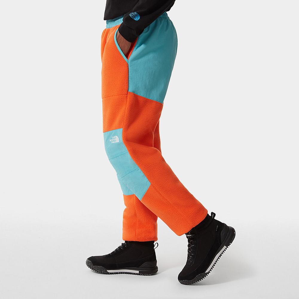 Nohavice The North Face Denali Panske Červené Oranžové Modre | NGV-351486