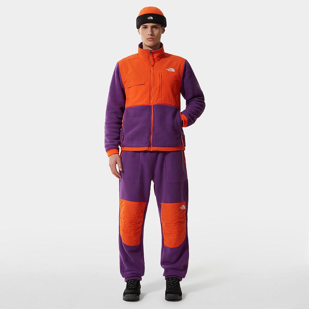 Nohavice The North Face Denali Panske Červené Nachový Oranžové | SVZ-981576