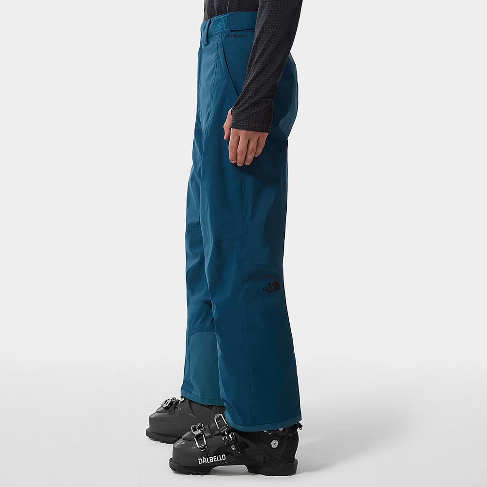 Nohavice The North Face Freedom Panske Modre | KJP-283057