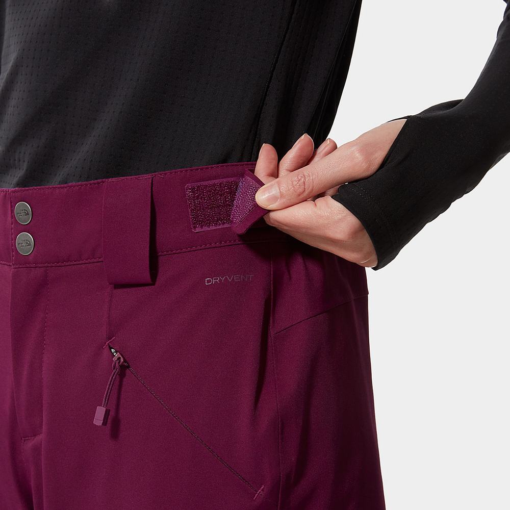 Nohavice The North Face Lenado Damske Nachový | YML-936845