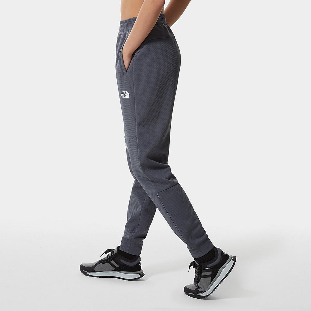 Nohavice The North Face MOUNTAIN ATHLETICS Damske Siva | SYA-709516