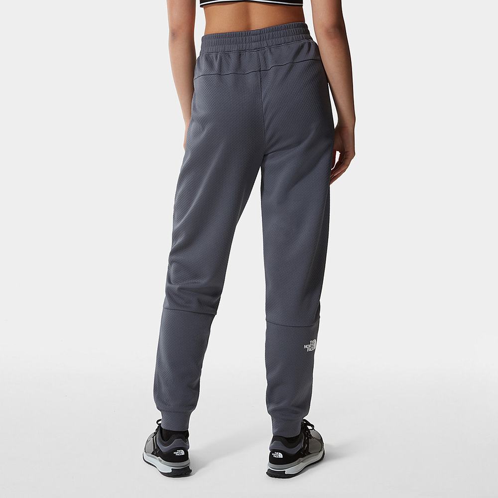 Nohavice The North Face MOUNTAIN ATHLETICS Damske Siva | SYA-709516