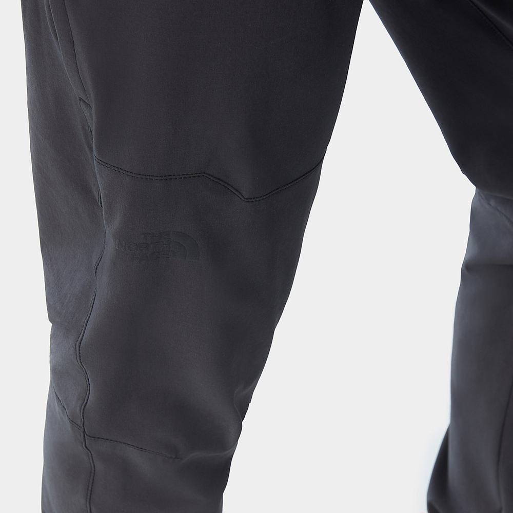 Nohavice The North Face Paramount Active Panske Siva | BRT-702159