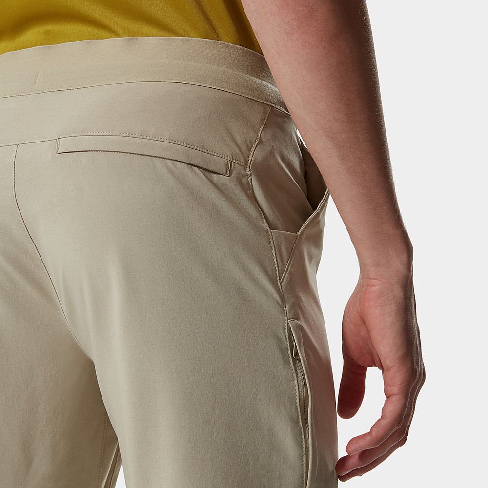 Nohavice The North Face Paramount Active Panske Béžové | EDI-813479