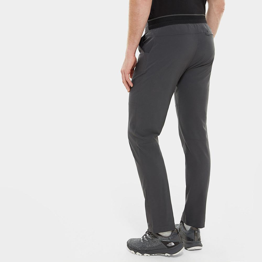 Nohavice The North Face Paramount Active Panske Siva | RAD-872950