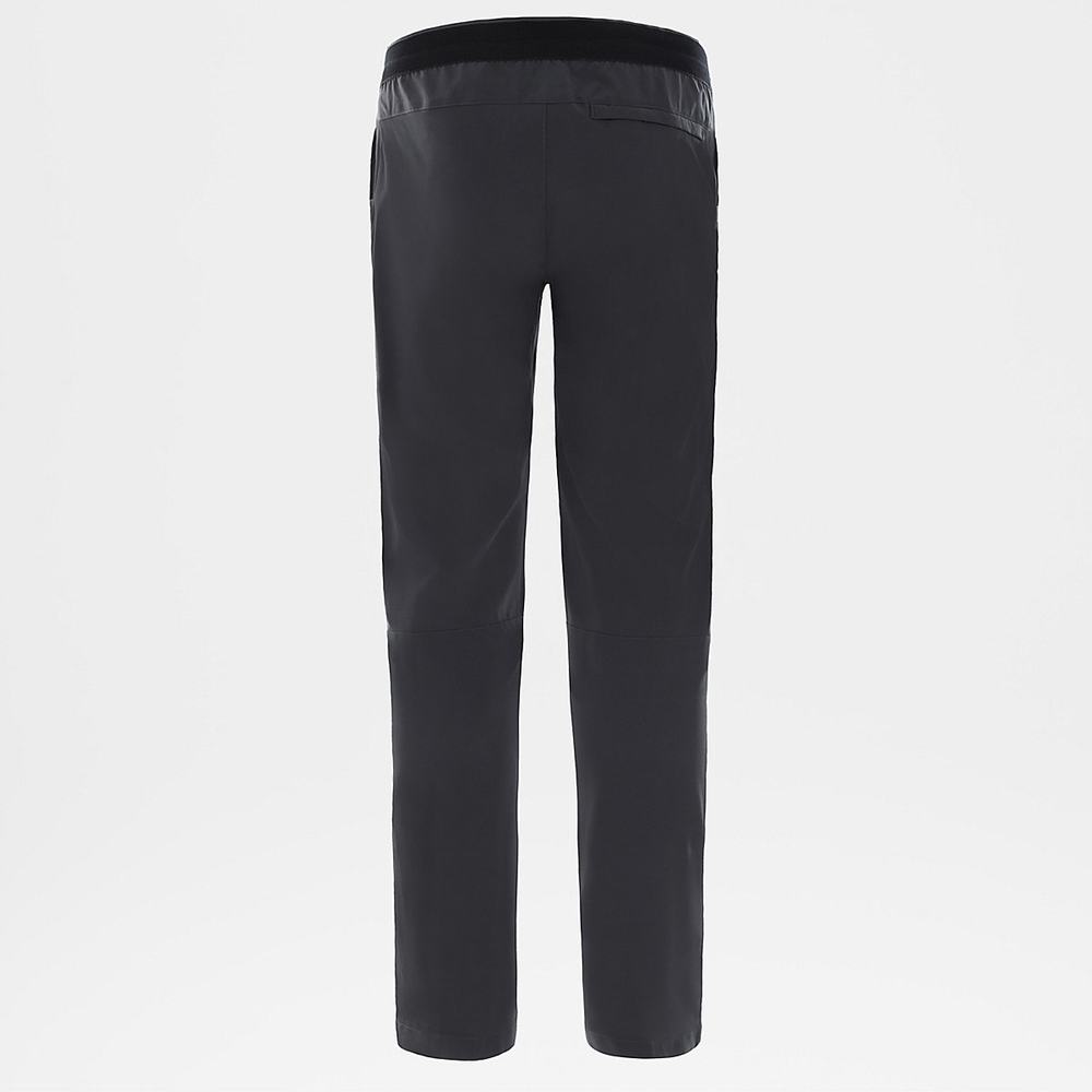 Nohavice The North Face Paramount Active Panske Siva | RAD-872950