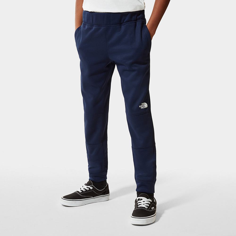 Nohavice The North Face SURGENT JOGGERS Dievcenske Námornícka Modrá | IBN-612579