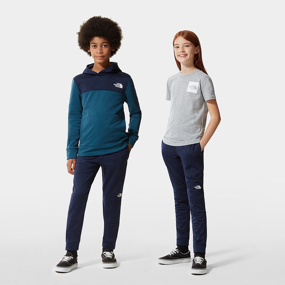 Nohavice The North Face SURGENT JOGGERS Dievcenske Námornícka Modrá | IBN-612579
