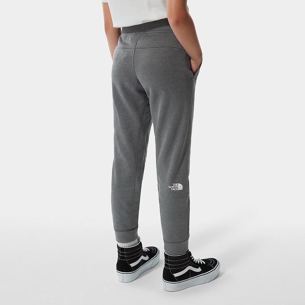 Nohavice The North Face SURGENT JOGGERS Chlapcenske Siva | IXA-837406